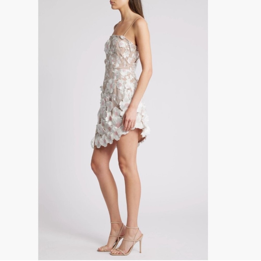 Elliatt White and Nude Floral Appliqué Mini Dress - Picture 3 of 9